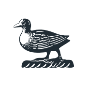 Ballyfin Demesne logo