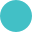Flynn logo