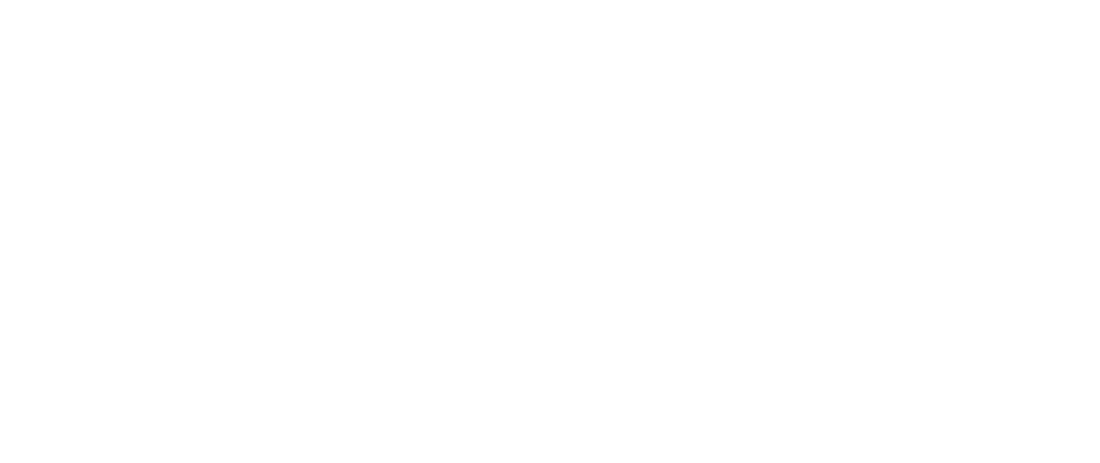 Nua Healthcare Services logo