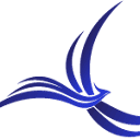 SS&C Technologies logo